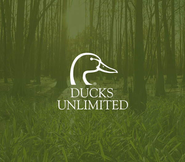 Greenwich Ford Community Involvement NY Ford Dealership