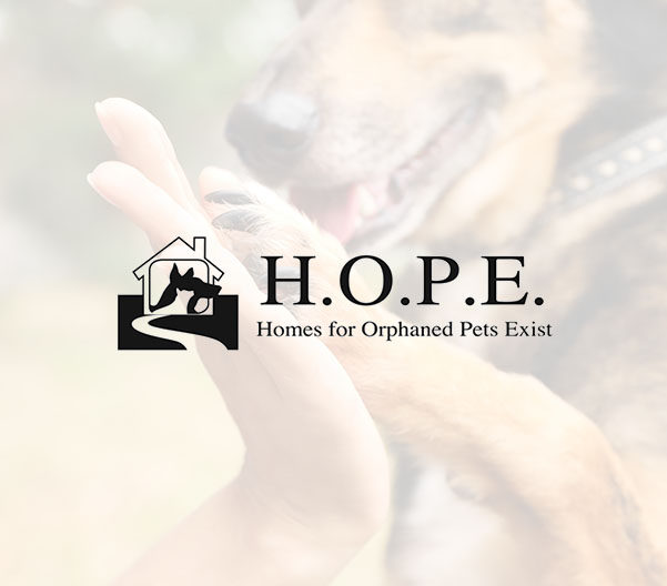 Greenwich Ford Community Involvement NY Ford Dealership