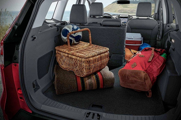 2019 Ford Escape Interior, Configurations & Technology