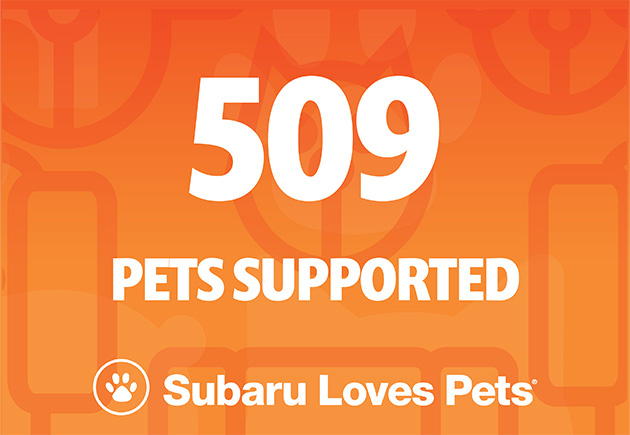 Subaru Loves Pets