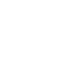 Express Icon