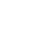 Selection Icon