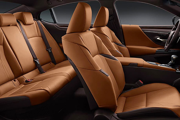 2020 Lexus ES 350 interior