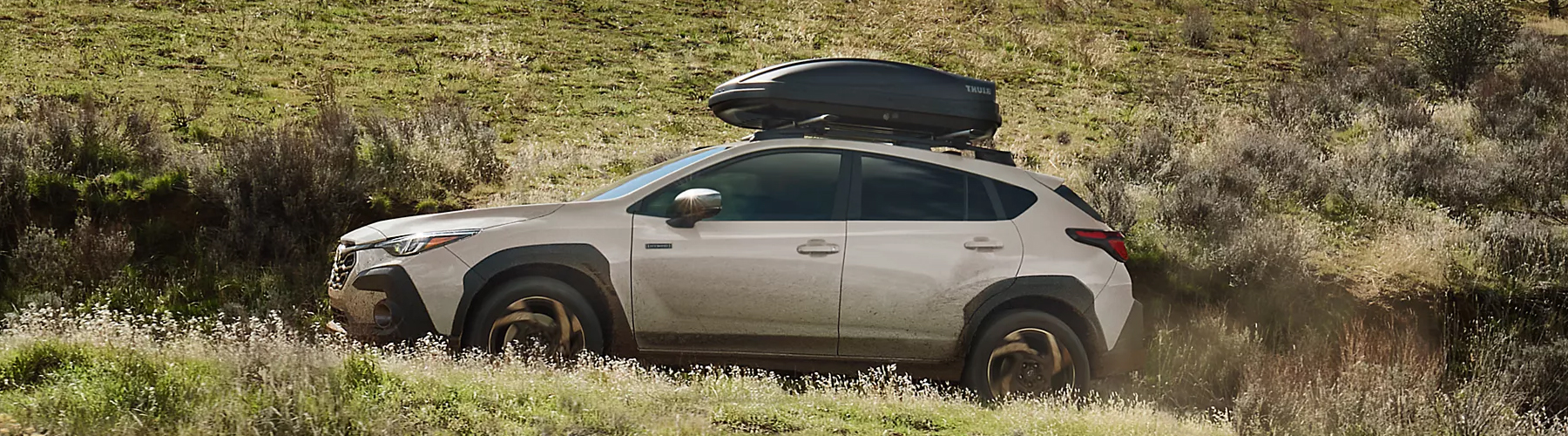 Subaru driving through a grassy field