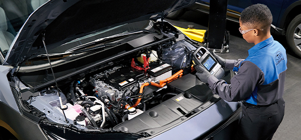 EV vs. Gas Vehicle Costs