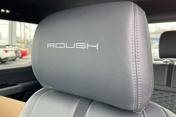 Roush head rest