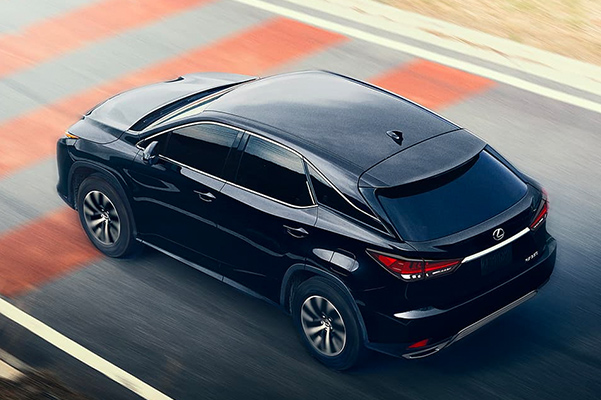 2020 Lexus RX Specs & Safety