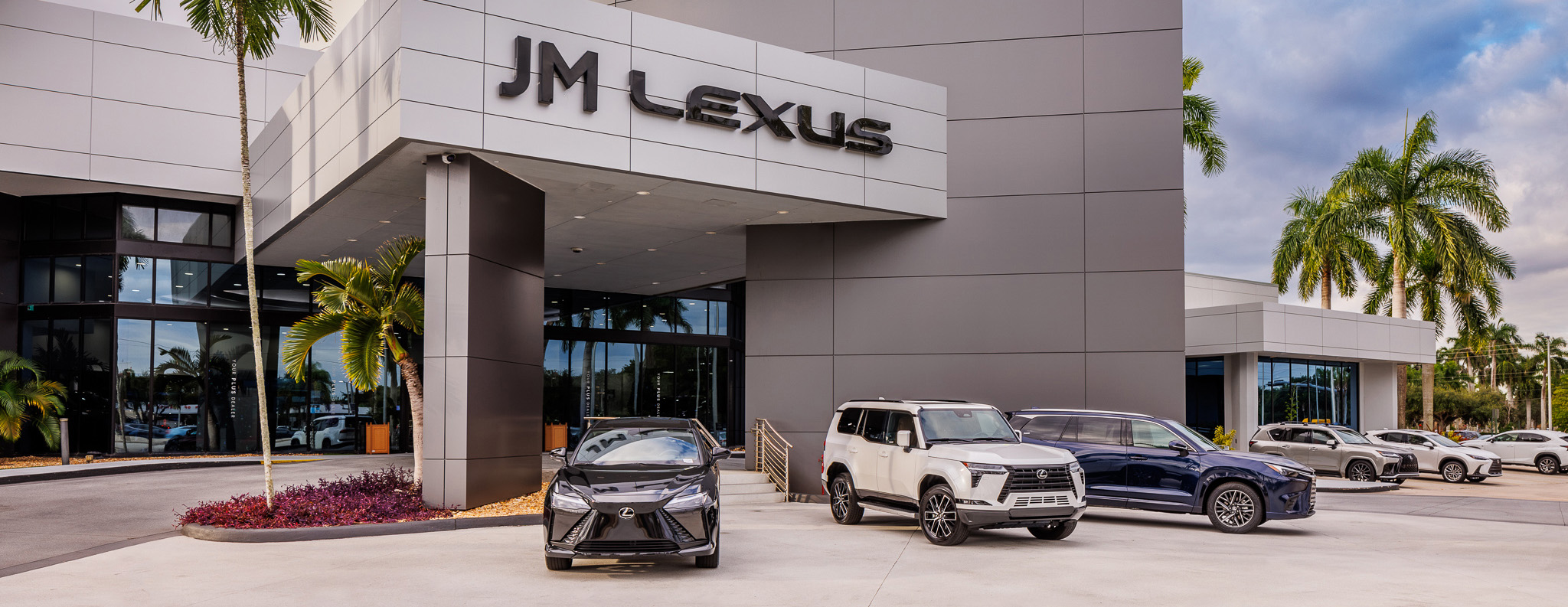 JM Lexus
