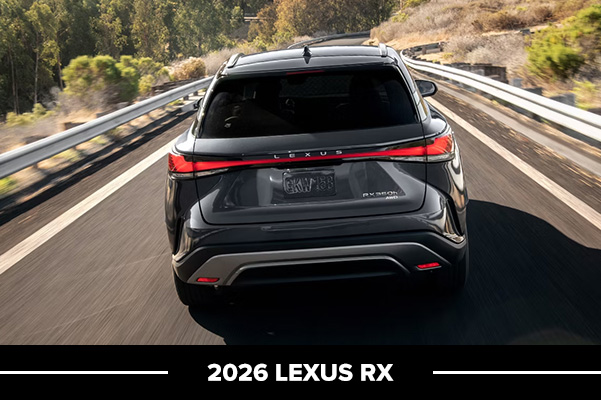 Rear exterior shot of the 2025 RX 350 AWD shown in Nightfall Mica.