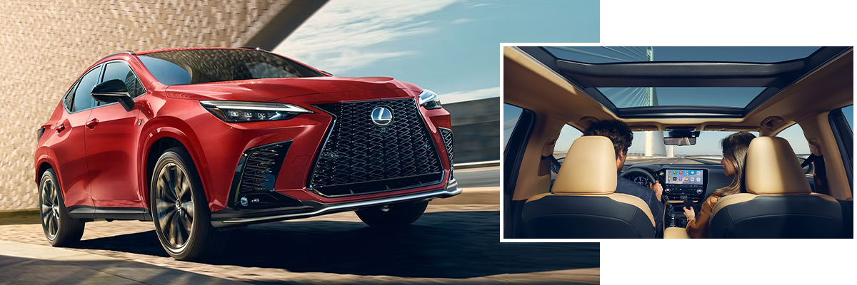 2025 Lexus NX