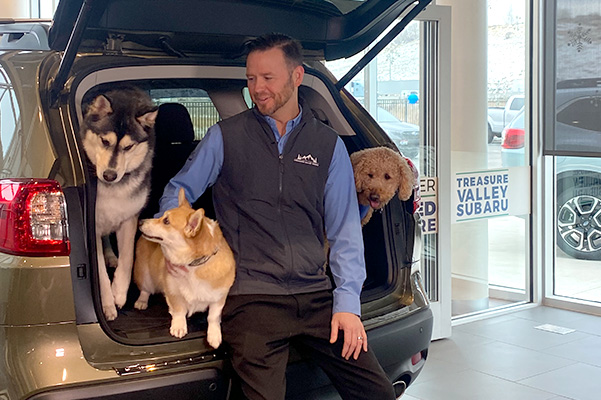 happy dealership employee with dogs in back of car