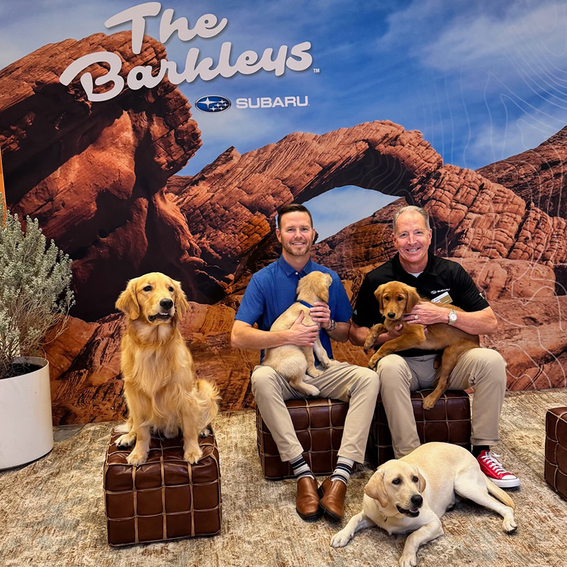 The Barkleys