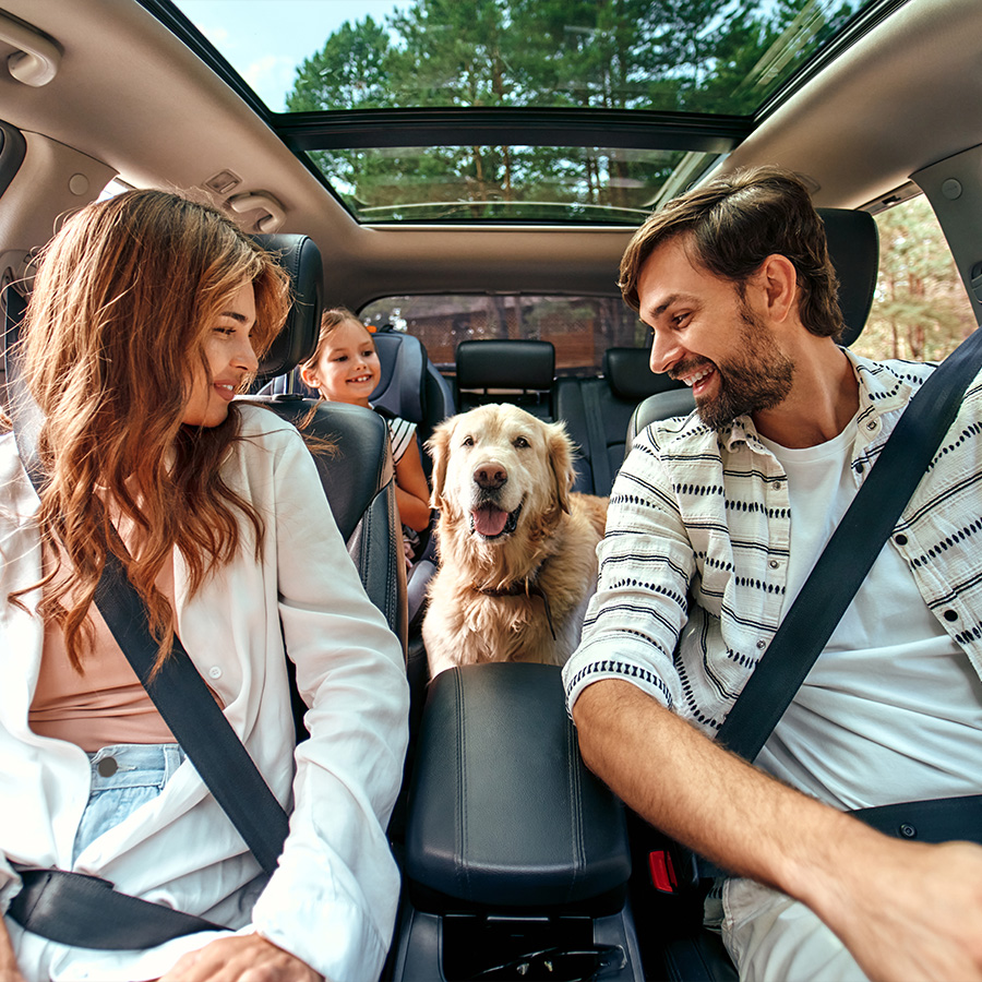Mom and Dad with their daughter and a Labrador dog are sitting in the car