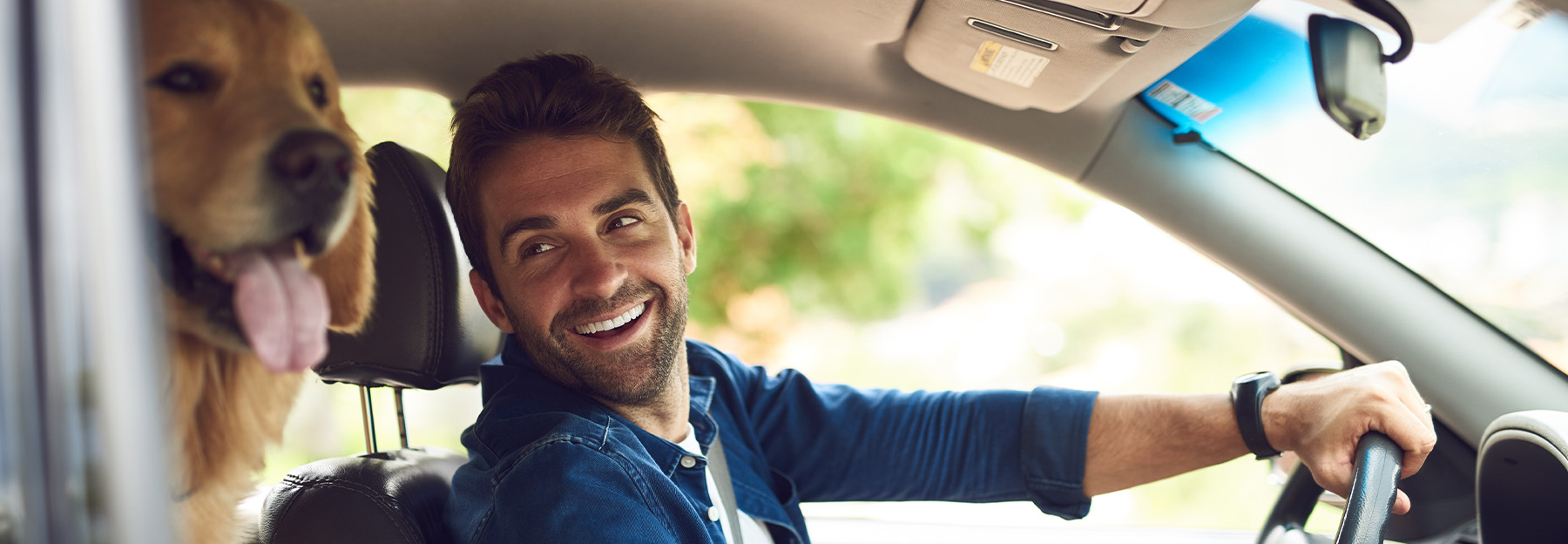 Cropped shot of a handsome young man taking a drive with his dog in the backseat.