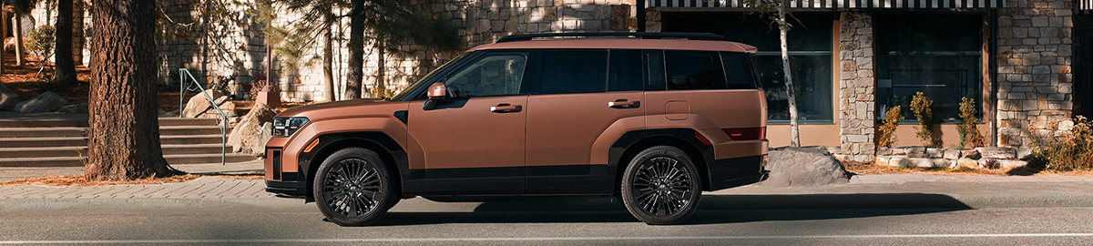 Hyundai Santa Fe Hybrid parked on side of forest road